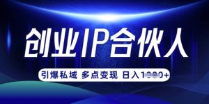 云帆·创业ip合伙人打造3.0,从0到1教你做网创,实现月入过W-泱泱学习社