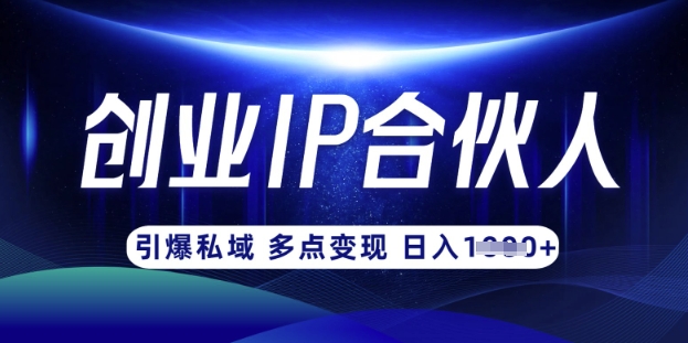 云帆·创业ip合伙人打造3.0，从0到1教你做网创，实现月入过W-泱泱学习社