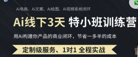 AI实操培训第20-21期线下，0基础保姆级教程，3月最新整理，企业获客、降本增效、打造超级个体-泱泱学习社