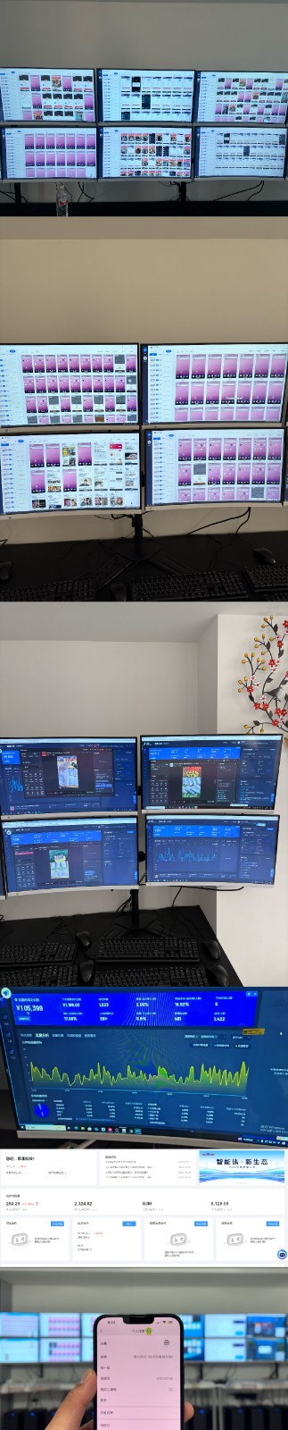 实操项目合集 挂机类型 直播类型 轻资产创业类型 课程分享各项目介绍和原理-泱泱学习社