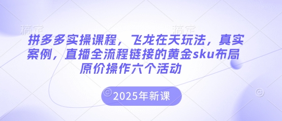 拼多多实操课程，飞龙在天玩法，真实案例，直播全流程链接的黄金sku布局原价操作六个活动-泱泱学习社