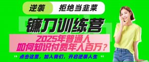 镰刀训练营超级IP合伙人,25年普通人如何通过“知识付费”实现逆袭-泱泱学习社