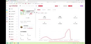 2025小红书虚拟电商实战课-泱泱学习社