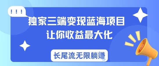 独家三端变现蓝海项目，让你收益最大化，长尾流无限躺挣-泱泱学习社