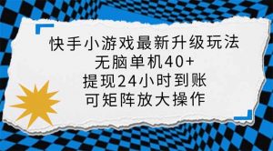 快手小游戏最新版升级玩法，新风口，无脑单机日入40+，可批量放大，小...-泱泱学习社
