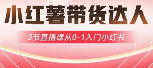 小红薯达人带货启航计划，3节直播课从0-1入门小红书-泱泱学习社