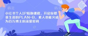 小红书个人IP陪跑课程，开启你职业生涯的PLAN-B，素人也能火成为百万博主的流量密码-泱泱学习社