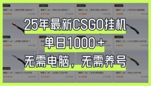 25年最新CSGO挂机系统，单日1000+，无需电脑，无需养号，0基础可上手-泱泱学习社