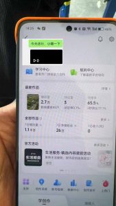 抖音暴力涨粉技术：一天轻松1-10万粉，技术不确定真实性，自测-泱泱学习社