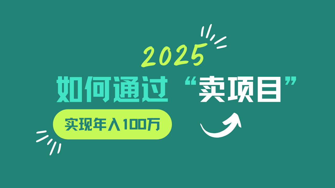 2025年如何通过“卖项目”实现年入100w-泱泱学习社