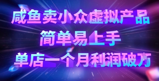 咸鱼卖小众虚拟产品，简单易上手，单店一个月利润破W-泱泱学习社