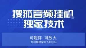 【搜狐音频挂G】独家技术，可矩阵可放大，红利期稳定月入8k【揭秘】-泱泱学习社