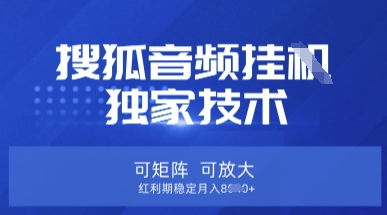 【搜狐音频挂G】独家技术，可矩阵可放大，红利期稳定月入8k【揭秘】-泱泱学习社