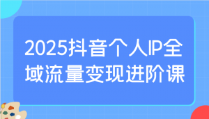 2025抖音个人IP全域流量变现进阶课:选爆品、抖音付费投流、千川投流实操及优化等-泱泱学习社