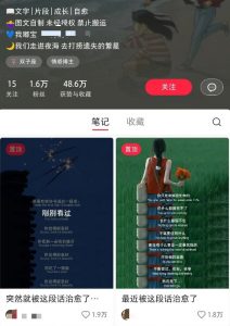 小红书治愈文案图文笔记，零门槛，一分钟制作轻松制作爆款作品月入万元-泱泱学习社
