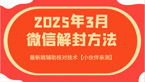 2025年3月微信解封方法 最新跳辅助核对技术【小伙伴亲测】-泱泱学习社