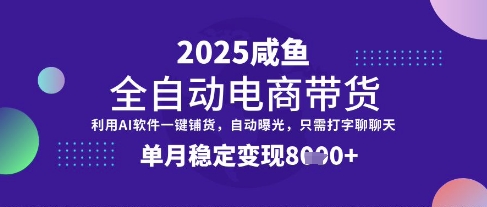 全网首发【闲鱼全自动电商带货】三年磨一剑，一朝露锋芒，单月稳定变现8k+【揭秘】-泱泱学习社
