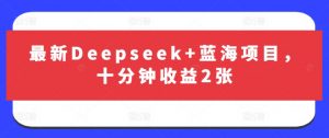 最新Deepseek+蓝海项目，十分钟收益2张-泱泱学习社