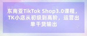 东南亚TikTok Shop3.0课程,TK小店从初级到高阶,运营出单干货输出-泱泱学习社