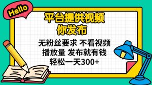平台提供视频 你发布 无粉丝要求 不看视频播放量 发布就有钱 轻松一天300+-泱泱学习社