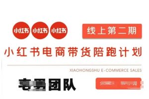 小红书电商带货课2期,月利润20个的小红书电商的有货源,无货源,虚拟产品,付费投流等整套玩法-泱泱学习社