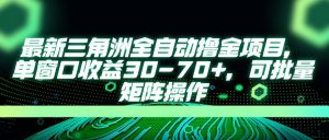 最新三角洲全自动撸金项目，单窗口收益30-70+，可批量矩阵操作-泱泱学习社
