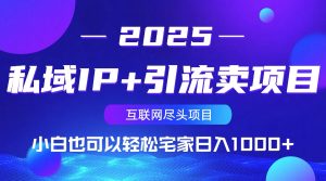 私域IP+引流卖项目，小白也可以做到轻松宅家日入1000+-泱泱学习社