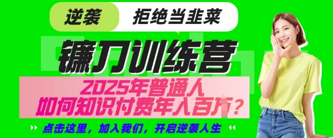 【网创项目终点站-镰刀训练营超级IP合伙人】25年普通人如何通过知识付费实现逆袭【揭秘】-泱泱学习社