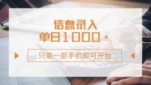信息录入，几秒钟一单，只需一部手机即可开始，0成本，每天1000+-泱泱学习社