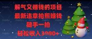 解气又挣钱的项目，最新违章拍照挣钱，随手一拍，轻松收入多张【揭秘】-泱泱学习社