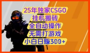25年独家CSGO挂G搬砖，全自动操作，无需打游戏，小白日入3张+【揭秘】-泱泱学习社