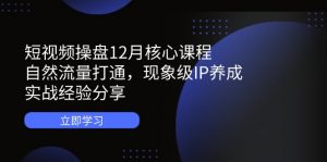 短视频操盘12月核心课程:自然流量打通,现象级IP养成,实战经验分享-泱泱学习社