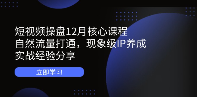 短视频操盘12月核心课程：自然流量打通，现象级IP养成，实战经验分享-泱泱学习社
