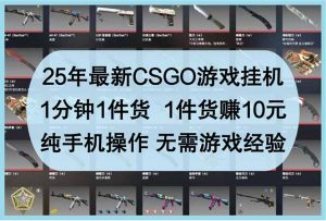 25年最新CSGO游戏挂机，1分钟1件货，1件货赚10元 纯手机操作 无需游戏经验-泱泱学习社