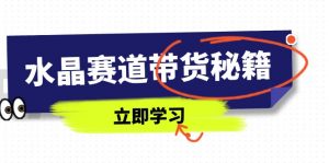 水晶赛道带货秘籍，国学结合、短视频起号、拍摄技巧、直播话术等内容-泱泱学习社
