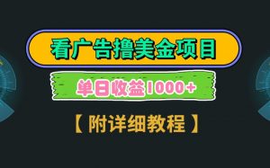 Google谷歌看广告撸美金，3分钟到账2.5美元，自撸拉新收益无上限，轻松日入1k+-泱泱学习社