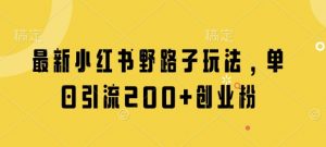 最新小红书野路子玩法，单日引流200+创业粉-泱泱学习社