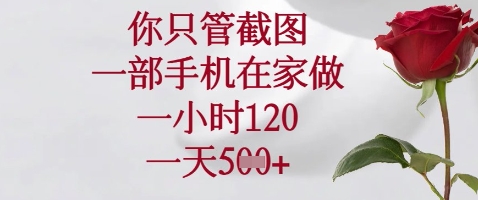 你只管截图，一部手机在家做，苹果安卓都可以，一小时120，一天5张+【揭秘】-泱泱学习社