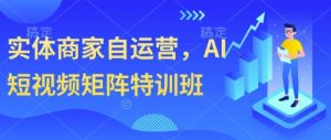 实体商家自运营，AI短视频矩阵特训班-泱泱学习社