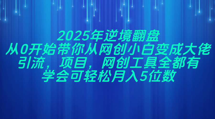2025年逆境翻盘，从0开始带你从网创小白变成大佬，引流，项目，网创工…-泱泱学习社