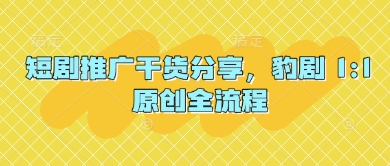 短剧推广干货分享，豹剧 1:1原创全流程-泱泱学习社