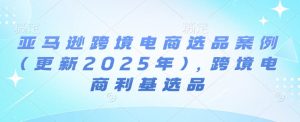 亚马逊跨境电商选品案例(更新2025年4月)，跨境电商利基选品-泱泱学习社