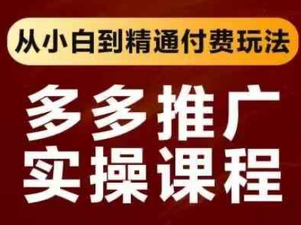 拼多多推广实操课程，从小白到精通付费玩法-泱泱学习社