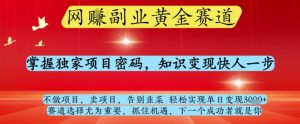 网创副业黄全赛道，掌握独家项目密码，知识变现快人一步，告别韭菜轻松实现单日变现1k+【揭秘】-泱泱学习社