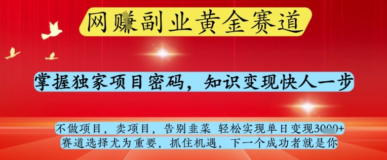 网创副业黄全赛道，掌握独家项目密码，知识变现快人一步，告别韭菜轻松实现单日变现1k+【揭秘】-泱泱学习社