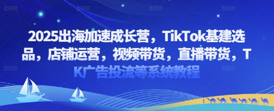 2025出海加速成长营，TikTok基建选品，店铺运营，视频带货，直播带货，TK广告投流等系统教程-泱泱学习社