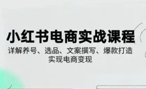小红书从0-1实操课(2023-2025)，详解养号、选品、文案撰写、爆款打造实现电商变现-泱泱学习社
