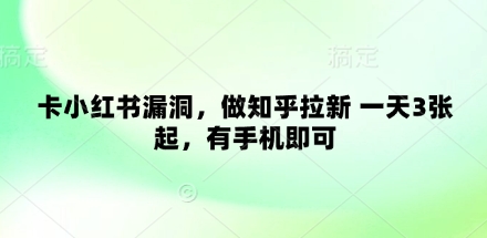 卡小红书漏洞，做知乎拉新 一天3张起，有手机即可-泱泱学习社