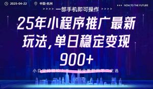 25年小程序推广最新玩法，单日稳定变现900+，小白轻松上手-泱泱学习社