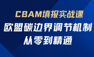欧盟CBAM填报实战从零到精通-泱泱学习社